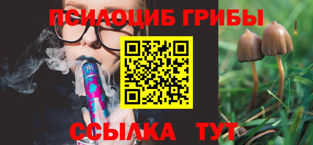 Можайск  Галлюциногенные грибы Psilocybe  Вход с VPN  Галлюциногенные грибы мухоморы 